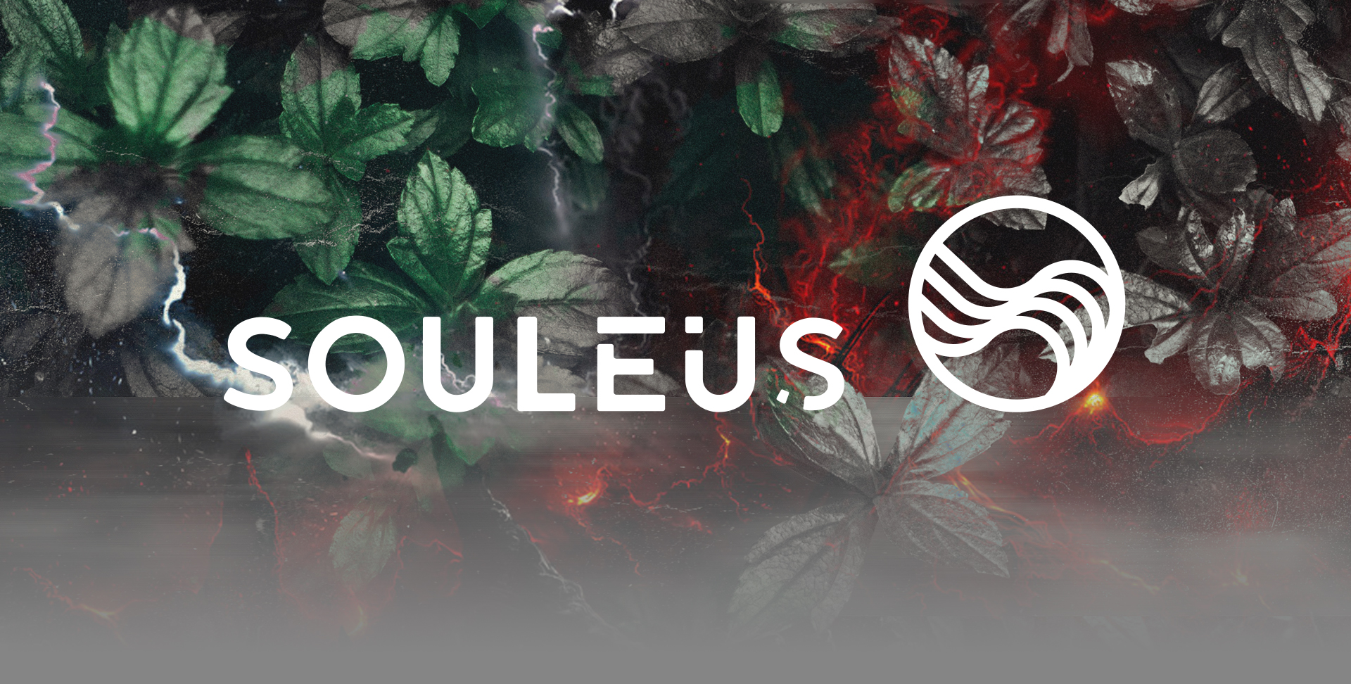 Souleus logo over dark foliage