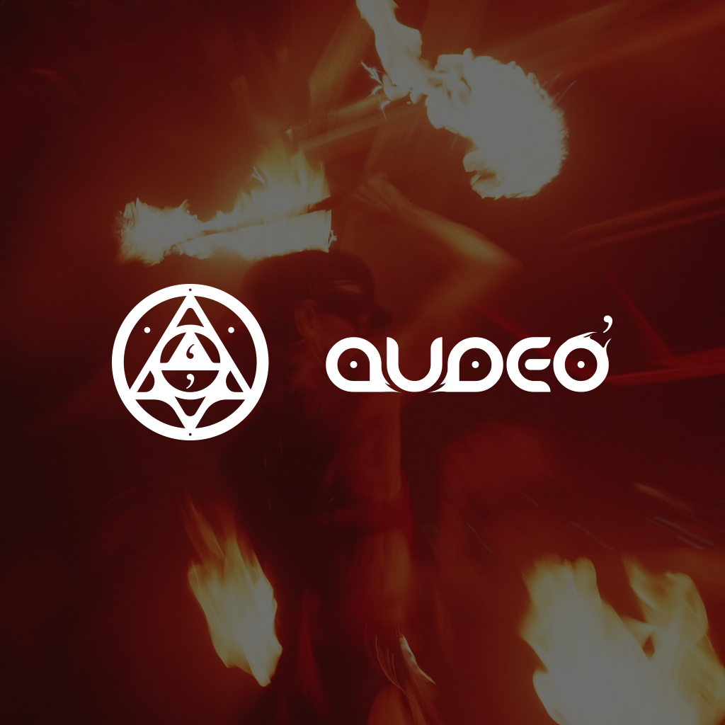 Audeo brand identity project