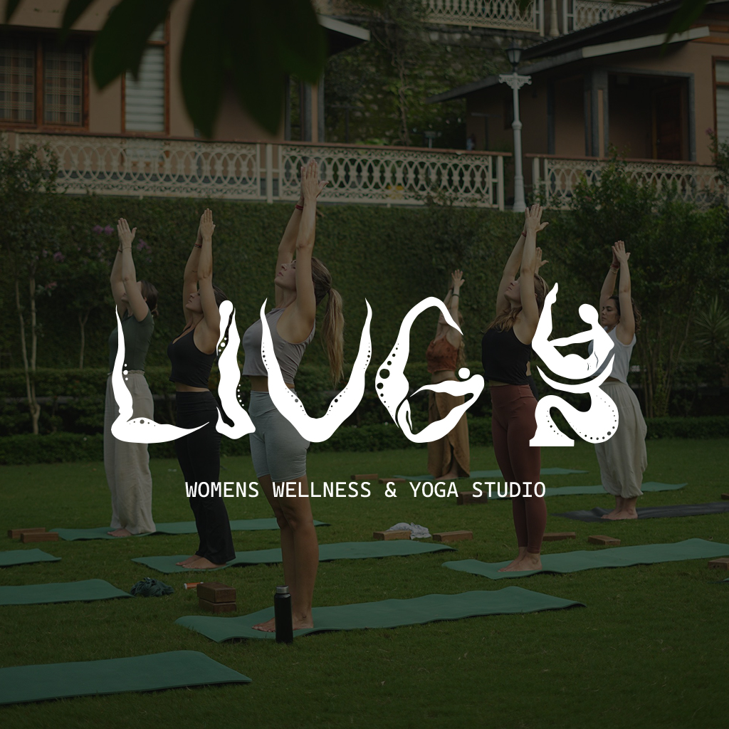 Liug brand identity project